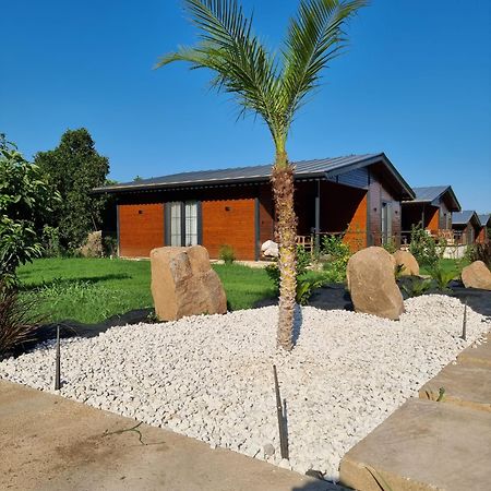 Cirali Simge Holiday Houses Buitenkant foto