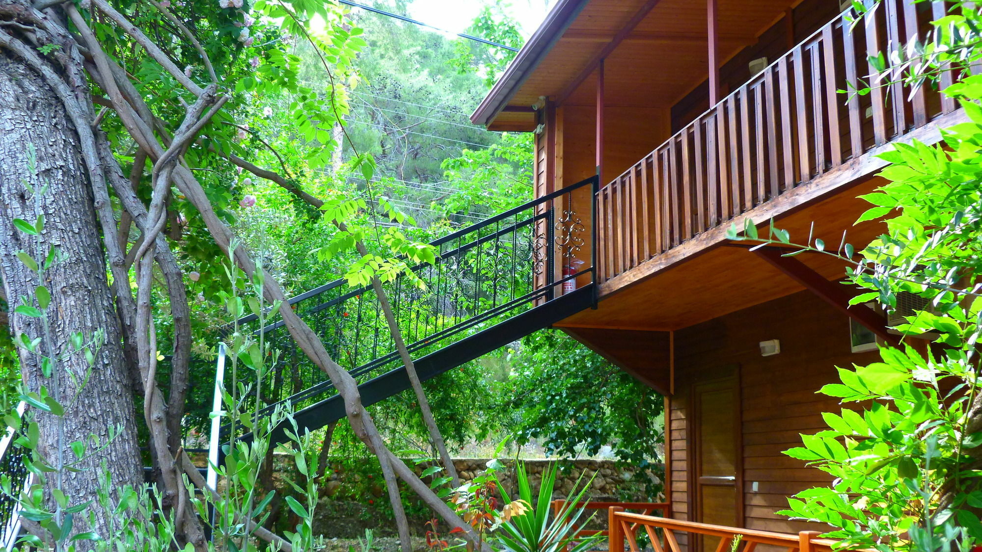Cirali Simge Holiday Houses Buitenkant foto