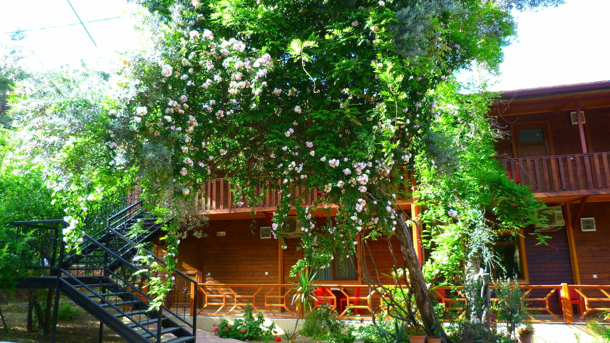 Cirali Simge Holiday Houses Buitenkant foto